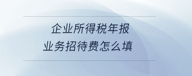 企業(yè)所得稅年報業(yè)務(wù)招待費怎么填