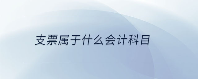 支票屬于什么會(huì)計(jì)科目