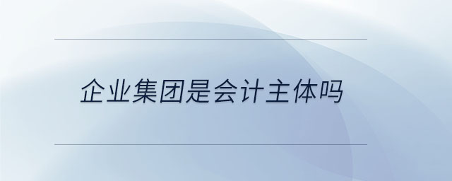 企業(yè)集團是會計主體嗎