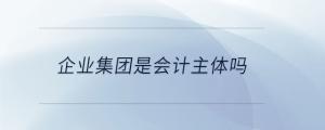 企業(yè)集團(tuán)是會計主體嗎