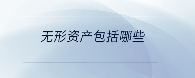 無形資產(chǎn)包括哪些？