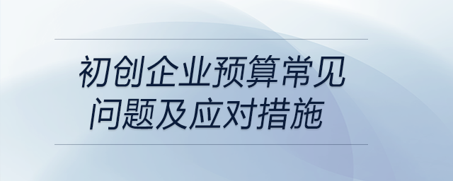 初創(chuàng)企業(yè)預(yù)算常見問題及應(yīng)對措施