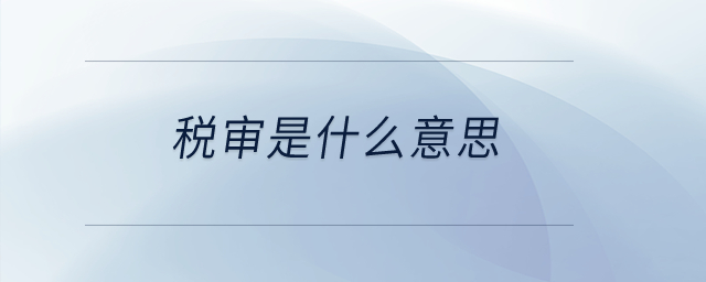 稅審是什么意思？