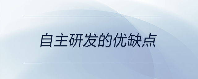 自主研發(fā)的優(yōu)缺點(diǎn)