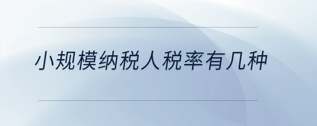 小規(guī)模納稅人稅率有幾種？