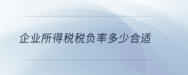 企業(yè)所得稅稅負(fù)率多少合適