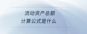 流動資產總額計算公式是什么