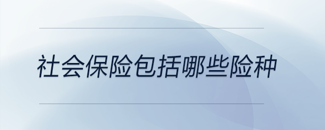 社會(huì)保險(xiǎn)包括哪些險(xiǎn)種