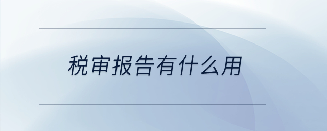 稅審報告有什么用？
