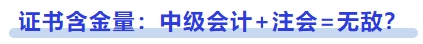 證書含金量：中級(jí)會(huì)計(jì)+注會(huì)=無(wú)敵？