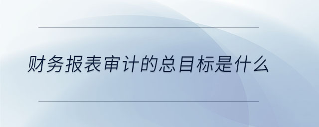 財務(wù)報表審計(jì)的總目標(biāo)是什么