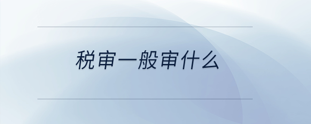 稅審一般審什么？