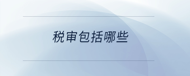 稅審包括哪些？
