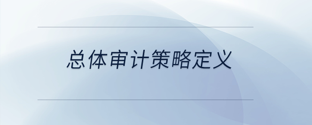 總體審計策略定義？