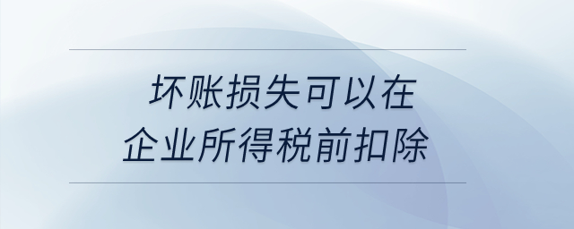 壞賬損失可以在企業(yè)所得稅前扣除？