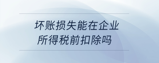 壞賬損失能在企業(yè)所得稅前扣除嗎？