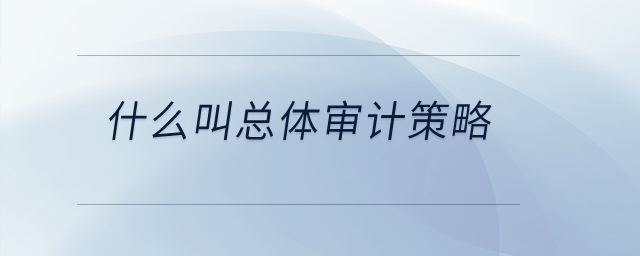 什么叫總體審計策略？