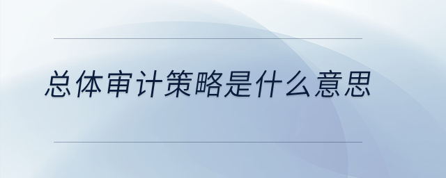 總體審計(jì)策略是什么意思？