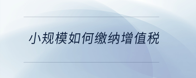 小規(guī)模如何繳納增值稅？