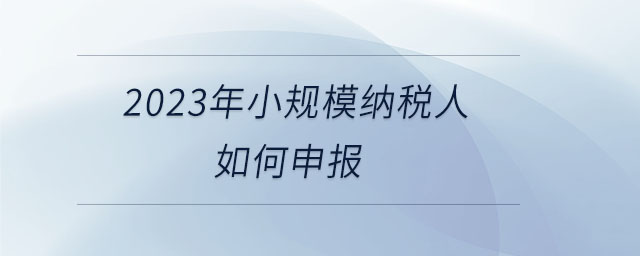 2023年小規(guī)模納稅人如何申報