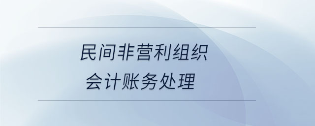 民間非營(yíng)利組織會(huì)計(jì)賬務(wù)處理