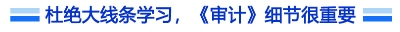 審計細節(jié)標(biāo)題