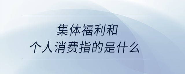 集體福利和個人消費指的是什么？