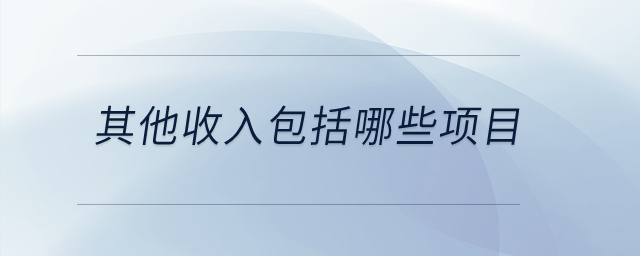 其他收入包括哪些項(xiàng)目？