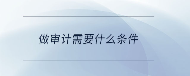 做審計(jì)需要什么條件