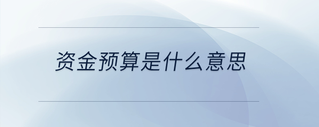 資金預(yù)算是什么意思？