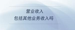 營(yíng)業(yè)收入包括其他業(yè)務(wù)收入嗎