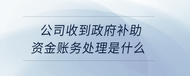 公司收到政府補(bǔ)助資金賬務(wù)處理是什么？