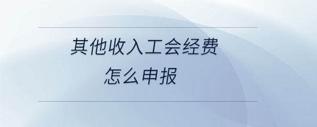 其他收入工會經(jīng)費(fèi)怎么申報(bào)