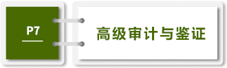 高級審計與鑒證-P7