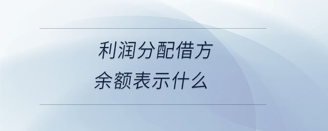 利潤(rùn)分配借方余額表示什么
