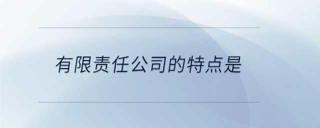 有限責任公司的特點是