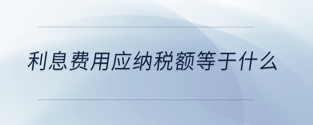 利息費(fèi)用應(yīng)納稅額等于什么？