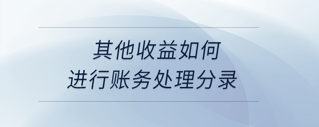 其他收益如何進行賬務(wù)處理分錄？
