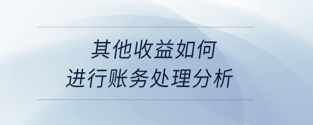其他收益如何進(jìn)行賬務(wù)處理分析？