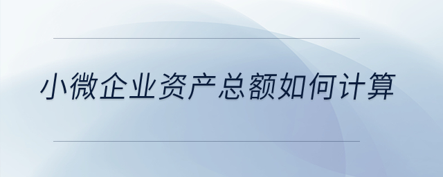小微企業(yè)資產(chǎn)總額如何計算？