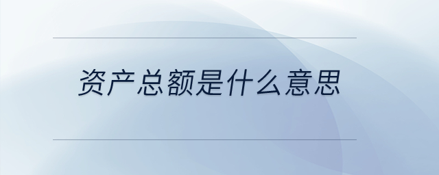 資產(chǎn)總額是什么意思？
