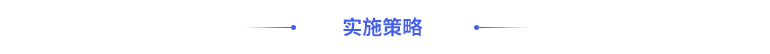 實施策略