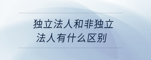 獨立法人和非獨立法人有什么區(qū)別？