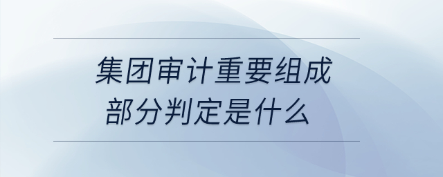 集團(tuán)審計(jì)重要組成部分判定是什么？