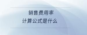 銷售費(fèi)用率計算公式是什么