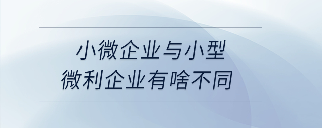 小微企業(yè)與小型微利企業(yè)有啥不同？