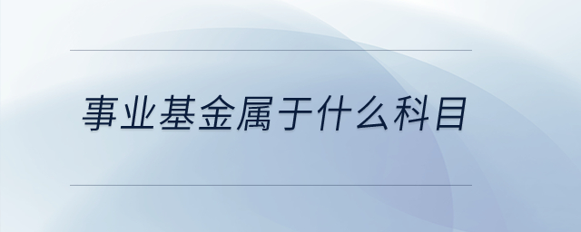 事業(yè)基金屬于什么科目？