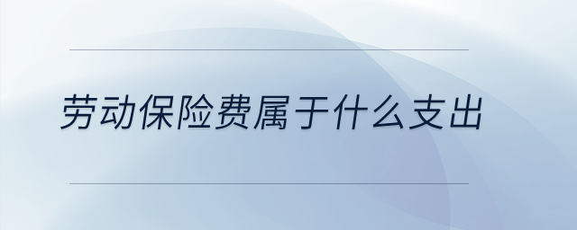 勞動(dòng)保險(xiǎn)費(fèi)屬于什么支出？