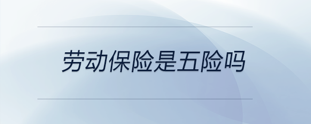勞動(dòng)保險(xiǎn)是五險(xiǎn)嗎