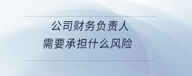 公司財務(wù)負(fù)責(zé)人需要承擔(dān)什么風(fēng)險